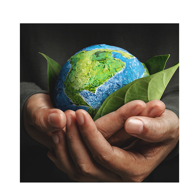 Let’s cultivate a greener ecosystem on Earth by embracing sustainable solutions and ecological restoration | U FOUNDER World